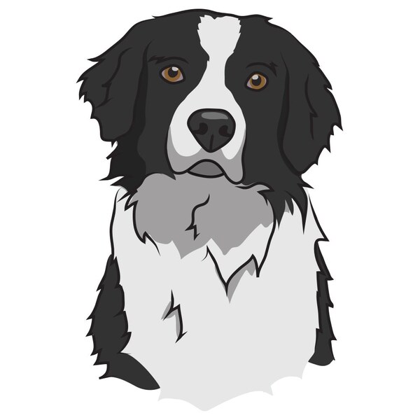 Signmission Borador Dog Decal, Dog Lover Decor Vinyl Sticker D-12-Borador - main